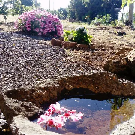 Lantställe El Limonero *