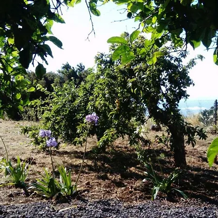 El Limonero Lantställe Garafía