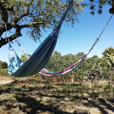 El Limonero Garafía