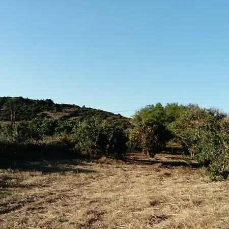 El Limonero Garafia