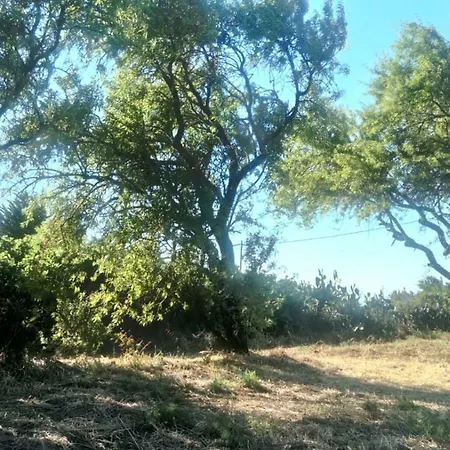 El Limonero Country house Garafia