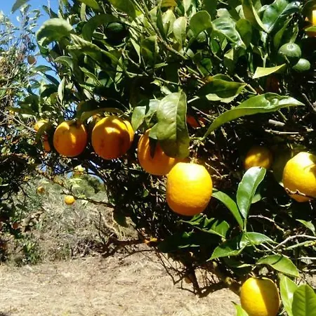 El Limonero Country house *