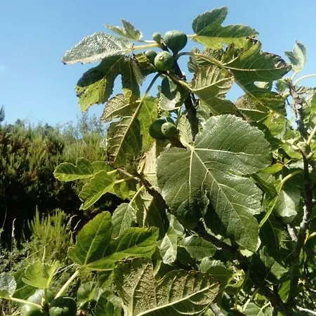 El Limonero Casa di campagna Garafía