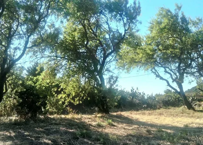El Limonero Casa rural Garafía