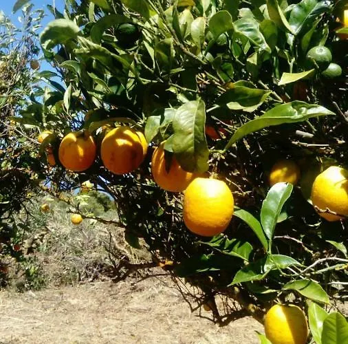 El Limonero Casa rural *